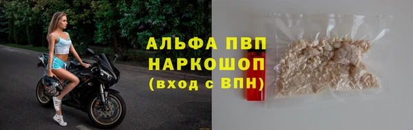 стаф Бугульма