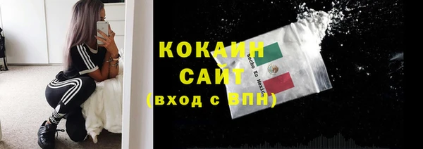 дмт Бородино