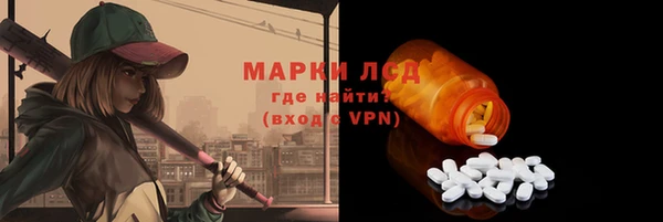 дмт Бородино