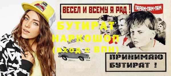 дмт Бородино