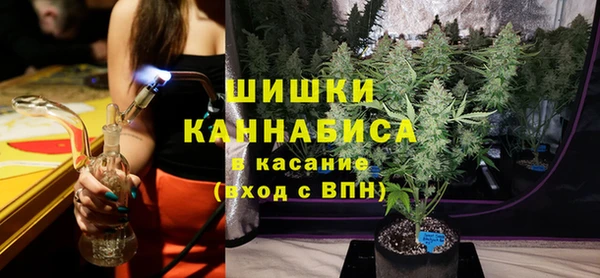 дмт Бородино