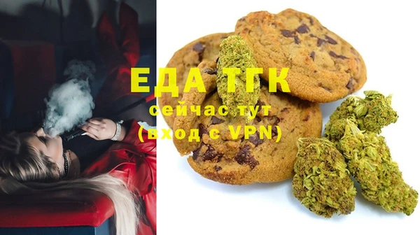дмт Бородино