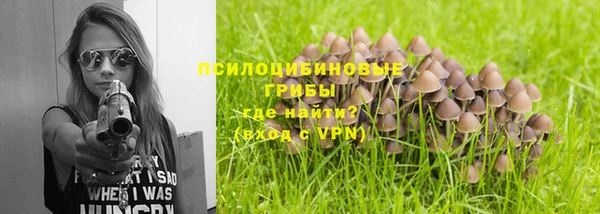 стаф Бугульма