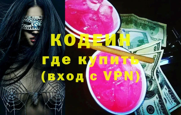 дмт Бородино