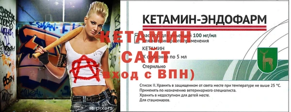 дмт Бородино