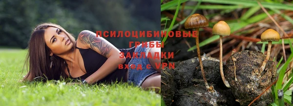 стаф Бугульма