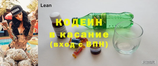 дживик Бронницы
