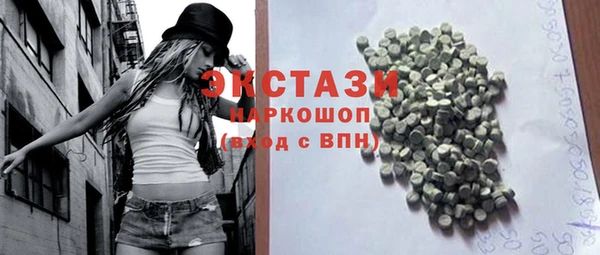 дмт Бородино