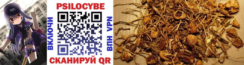 Псилоцибиновые грибы GOLDEN TEACHER гидра сайт Сыктывкар