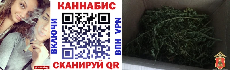купить Сыктывкар Канабис семена